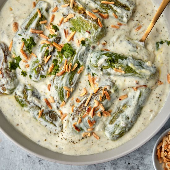 Lebanese Zucchini in Yogurt Sauce