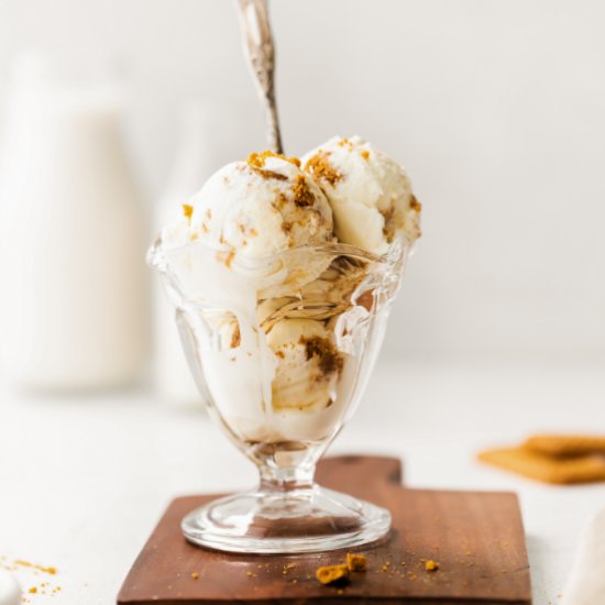 Cookie Butter Ice Cream