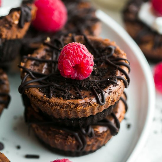 Mini Chocolate Cheesecakes