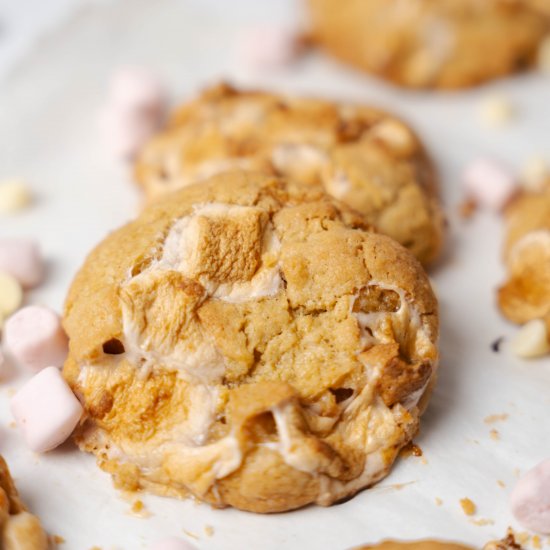 The Best Choc Mint Cookies