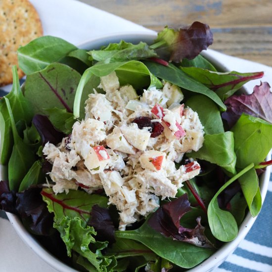 Cranberry Apple Tuna Salad