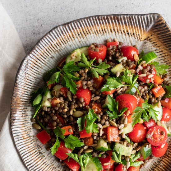 Easy French Lentil Salad