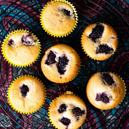 Vegan Blackberry Muffins