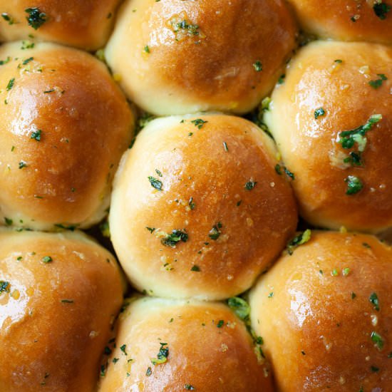 Vegan Garlic Butter Dinner Rolls