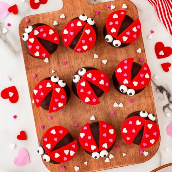 Love Bug Valentine’s Day Cookies