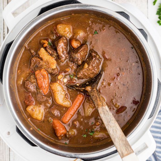 Instant Pot Venison Stew