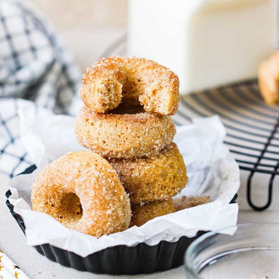 Cinnamon Sugar Mini Donuts