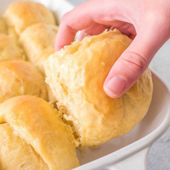 Sourdough Discard Dinner Rolls