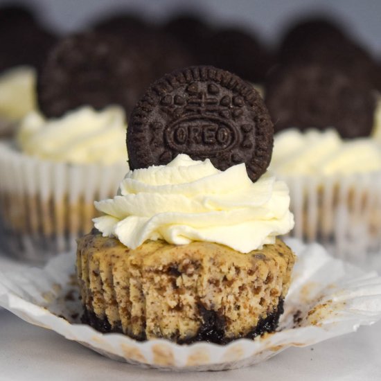 Mini Oreo Cheesecakes