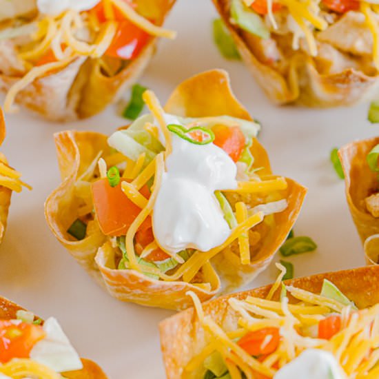 Mini Chicken Taco Salads