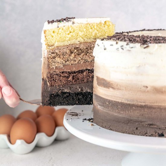 Ombre Chocolate Cake