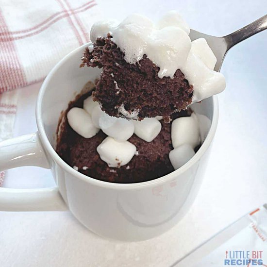 Hot Chocolate Mug Cake