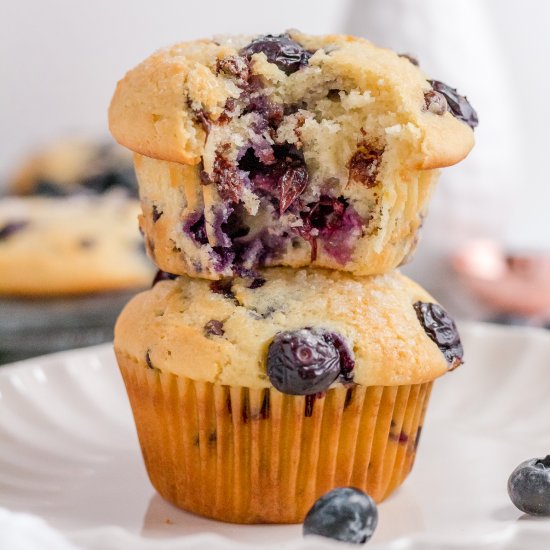 blueberry chocolate chip muffins