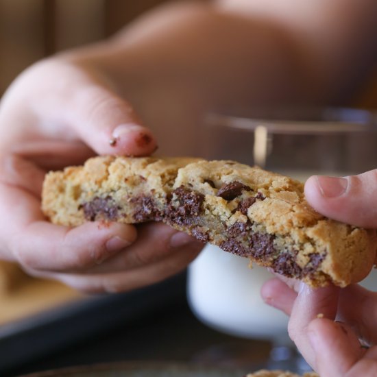 Chocolate Chip Cookie Sticks