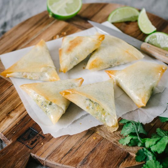 Vegetarian Samoussa with spices