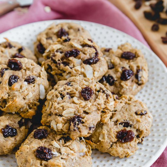 Vegan Oatmeal Raisin Cookies