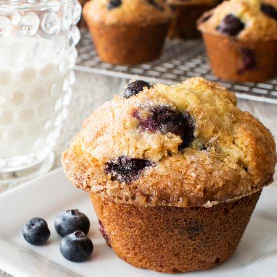 Blueberry Muffins