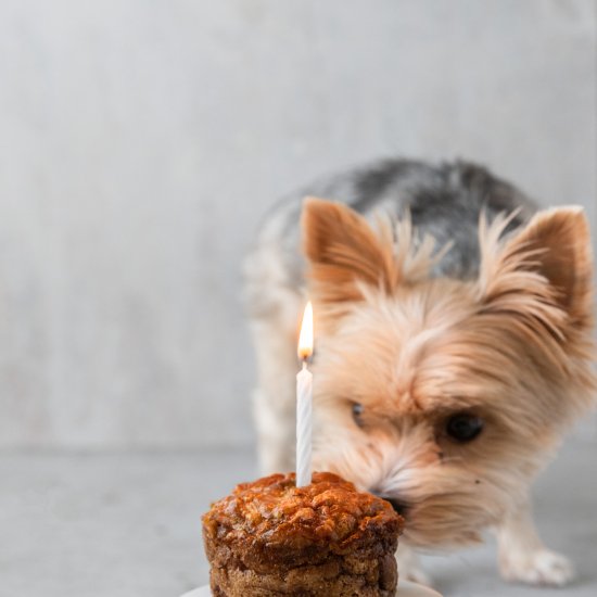 Dog Birthday Cake