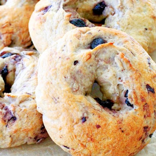 Blueberry Bagels