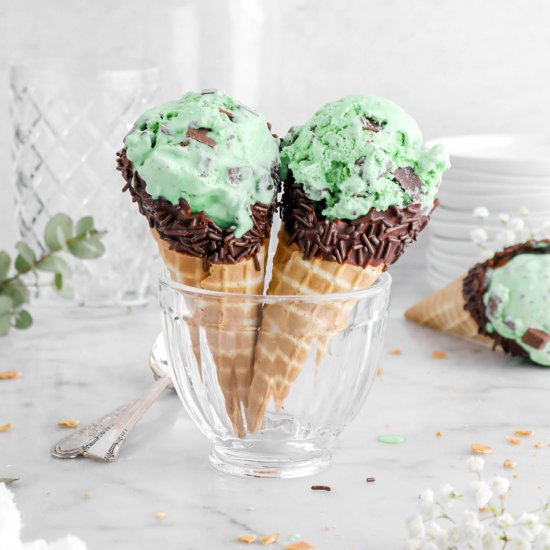 No Cook Mint Chip Ice Cream