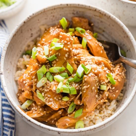 Slow Cooker Teriyaki Chicken