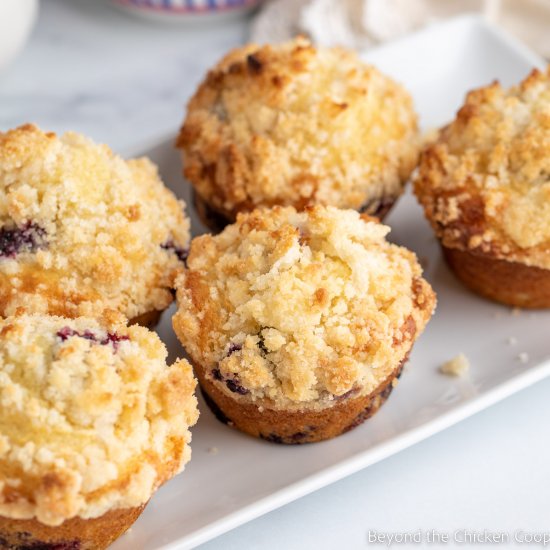 Blueberry Buttermilk Muffins