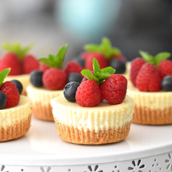 Easy Mini Cheesecakes