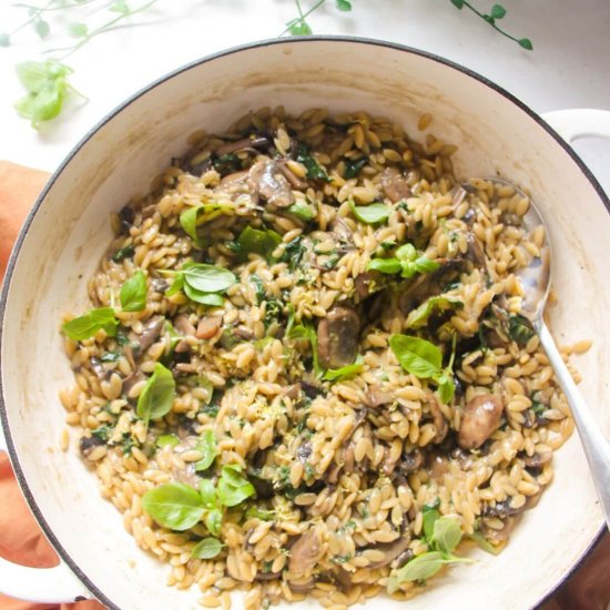 One Pot Mushroom Orzo