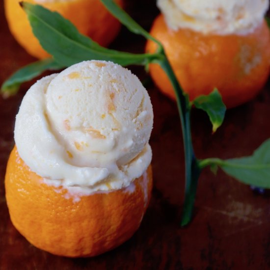 Creamsicle Ice Cream