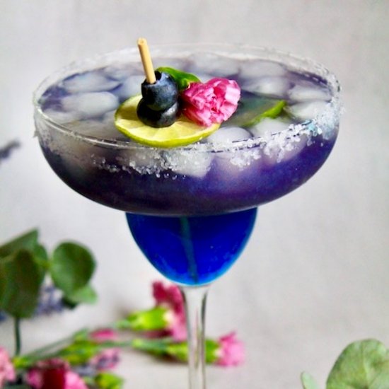 Simply Limeade Blueberry Margarita