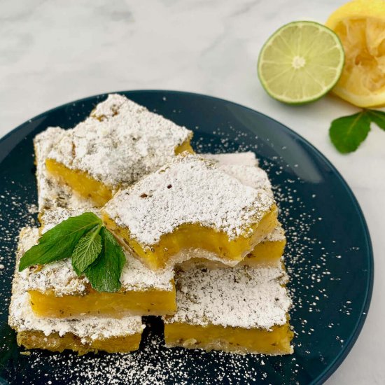 Lemon Lime Bars with Mint