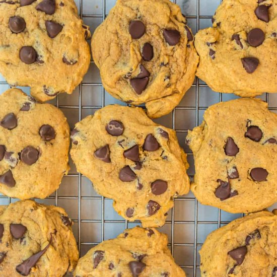 Soft Pumpkin Chocolate Chip Cookies