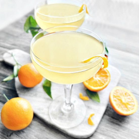 Orange Ginger Gin Kombucha Cocktail