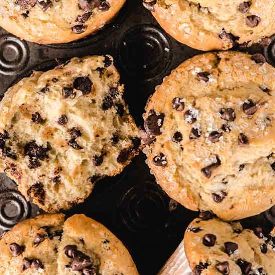 Chocolate Chip Muffins