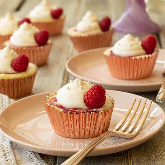 Raspberry Swirl Mini Cheesecakes