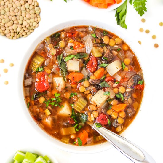 Lentil Vegetable Soup