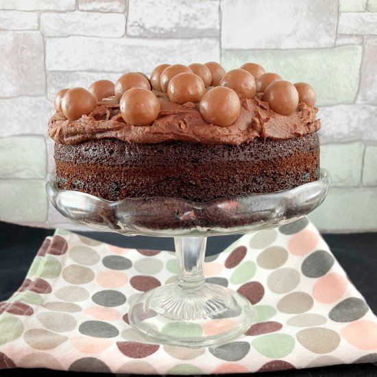 One Layer Fudge Cake