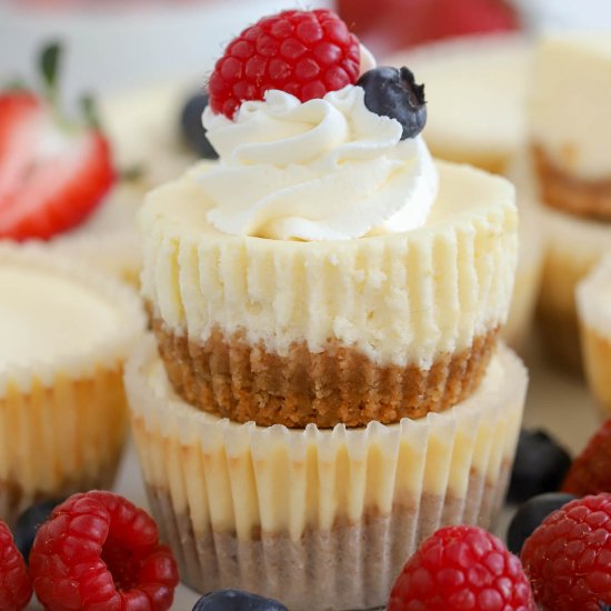 Mini Cheesecakes