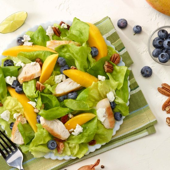 Chicken Blueberry Salad with Mango