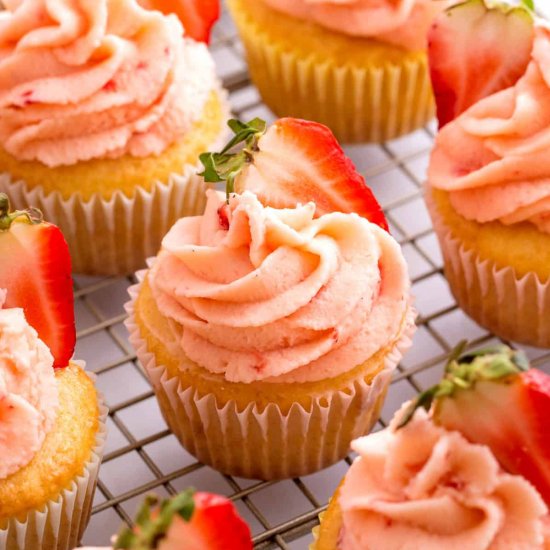 10 Easy Cupcake Recipes