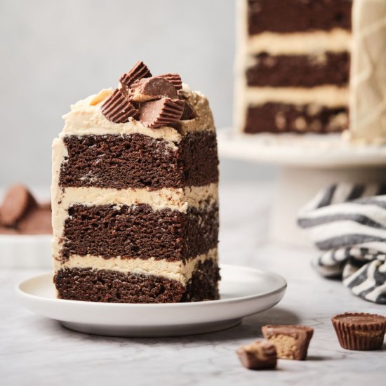 Chocolate Peanut Butter Cake