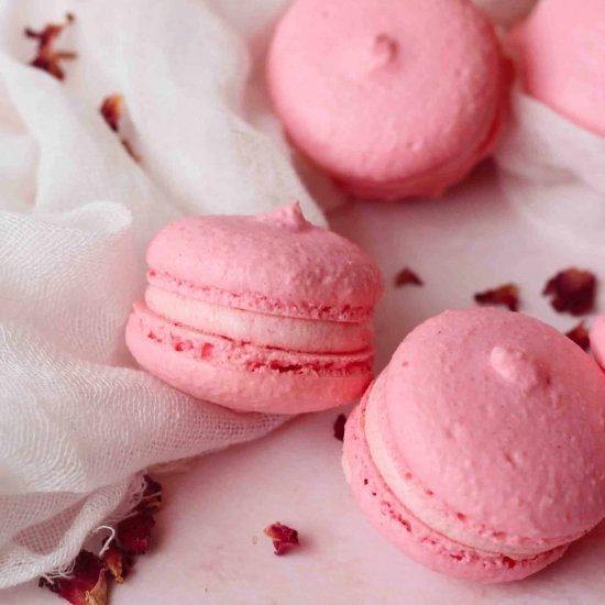 Rose Macarons