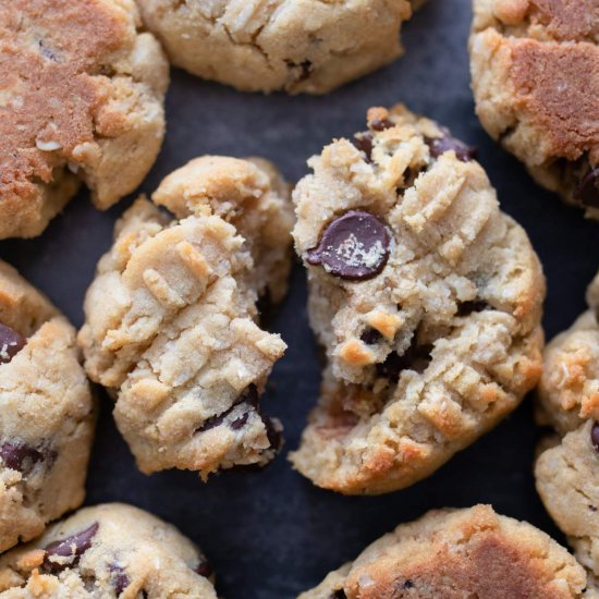 Coconut Flour Oatmeal Cookies