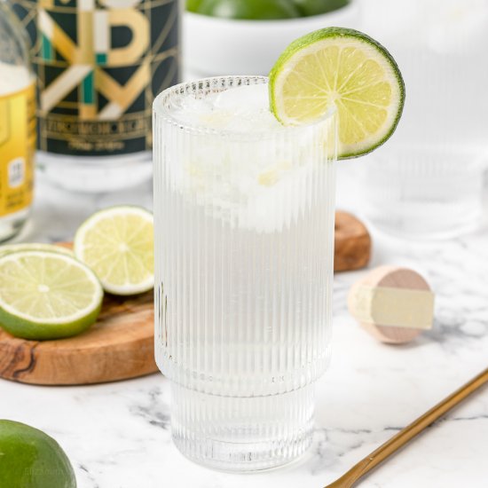 Gin and Tonic Mocktail