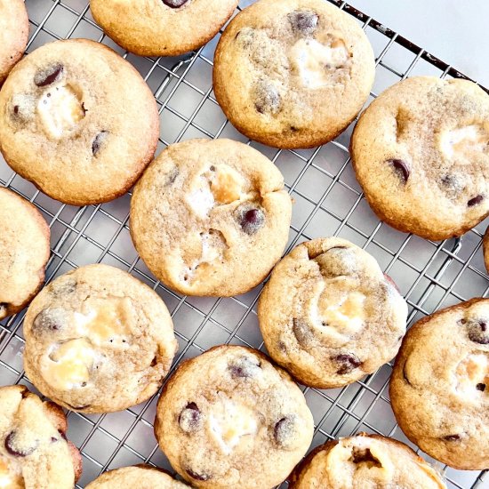 Chocolate Chip Marshmallow Cookies