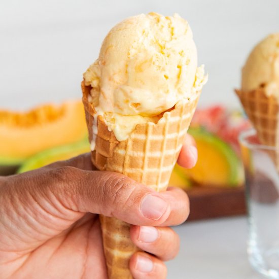 Cantaloupe Frozen Custard