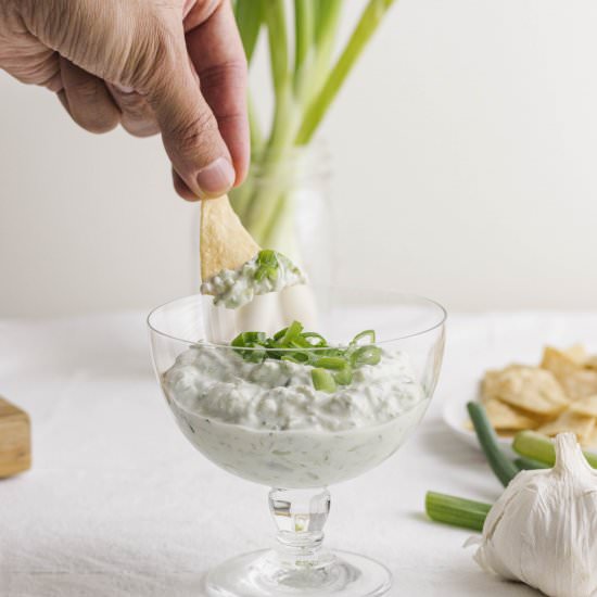 Easy Creamy Green Onion Dip