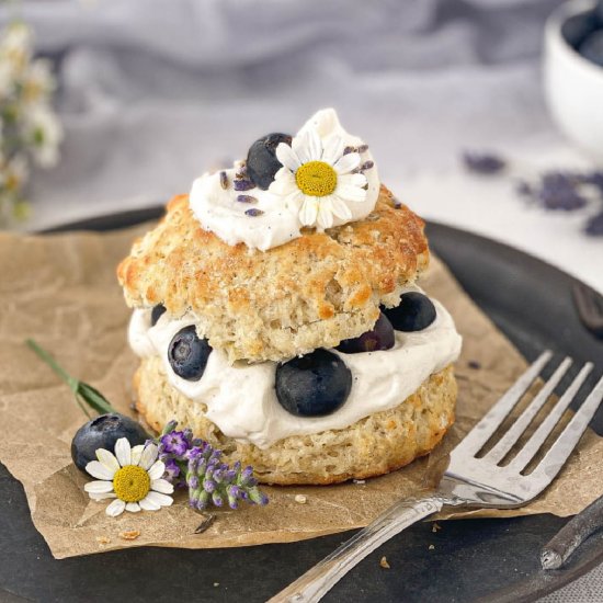 Blueberry Shortcake