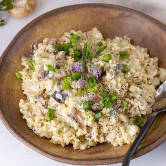 Mushroom Stroganoff