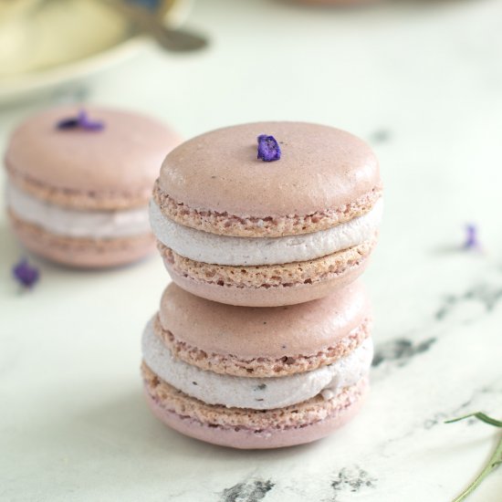 Lavender Macarons